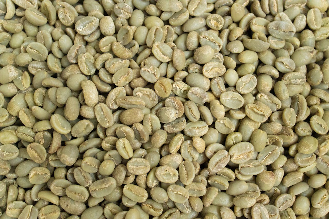 Green Coffee Beans