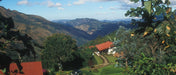 Single-Origin Reserve Series - Hacienda La Minita, La Minita, Costa Rica Tarrazu, Wet Processed - PLACEHOLDER