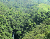 Regional Series - Colombia Nariño, Wet Processed - PLACEHOLDER