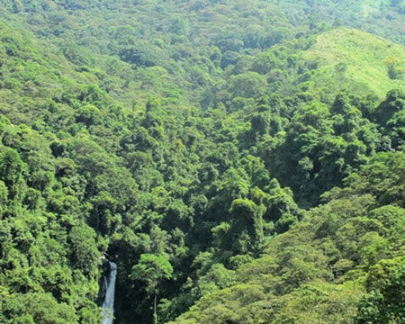 Regional Series - Colombia Nariño, Wet Processed - PLACEHOLDER