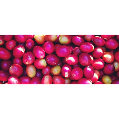 Regional Series - Colombia Huila, Wet Processed - PLACEHOLDER