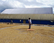 Regional Series - Indonesia Sumatra, Wet Processed - PLACEHOLDER