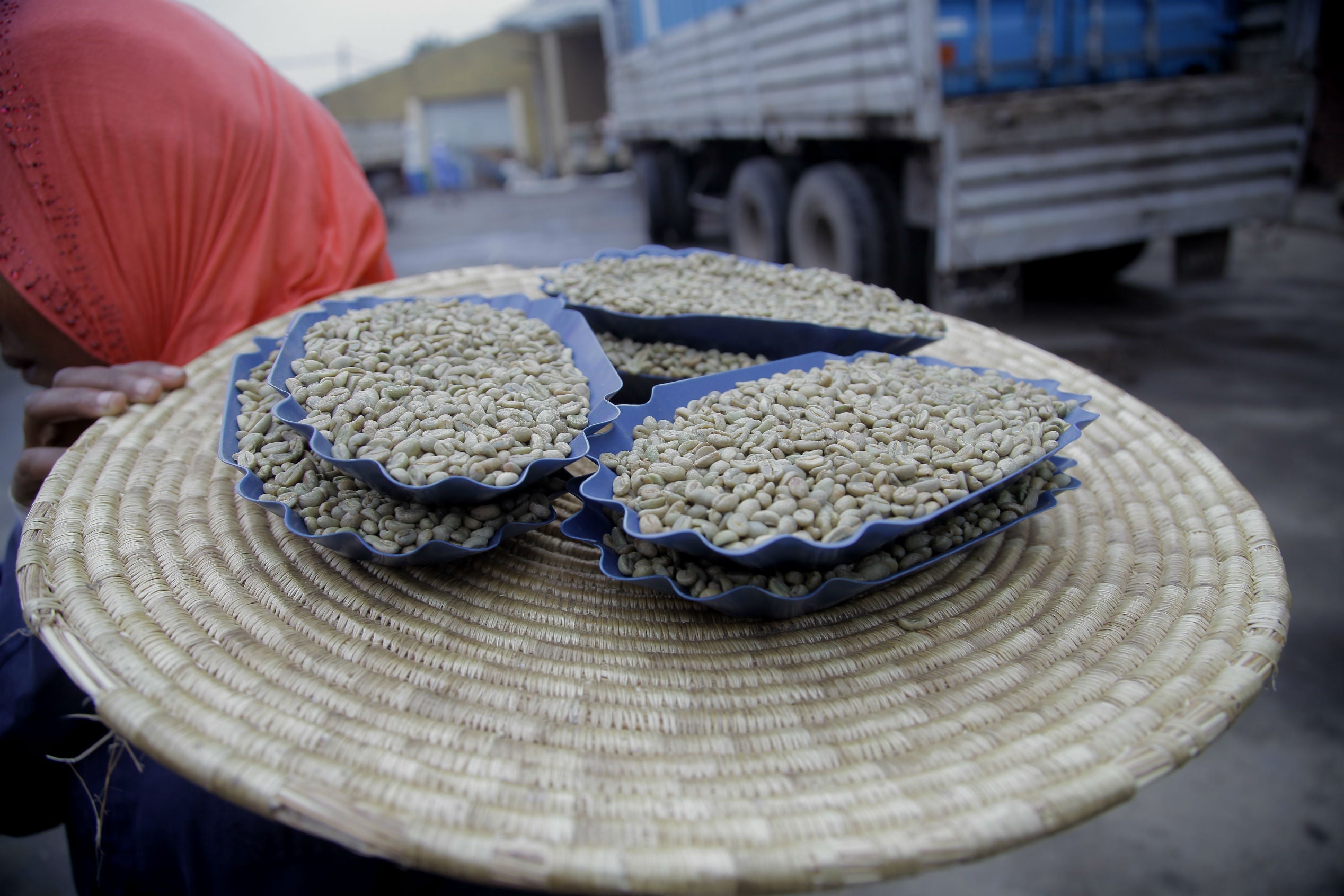 Regional Series - Ethiopia Sidamo, Wet Processed - PLACEHOLDER