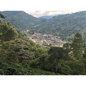 Estate Series - Colombia Finca Palmichal, Natural Processed - PLACEHOLDER