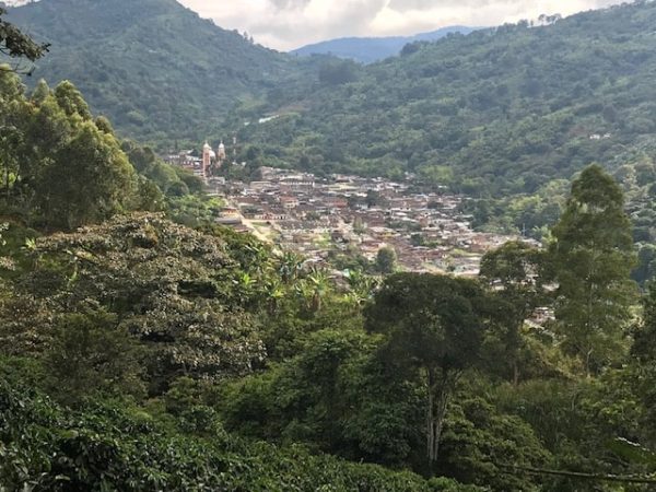 Single-Origin Reserve Series - Colombia Finca Palmichal, Wet Processed - PLACEHOLDER