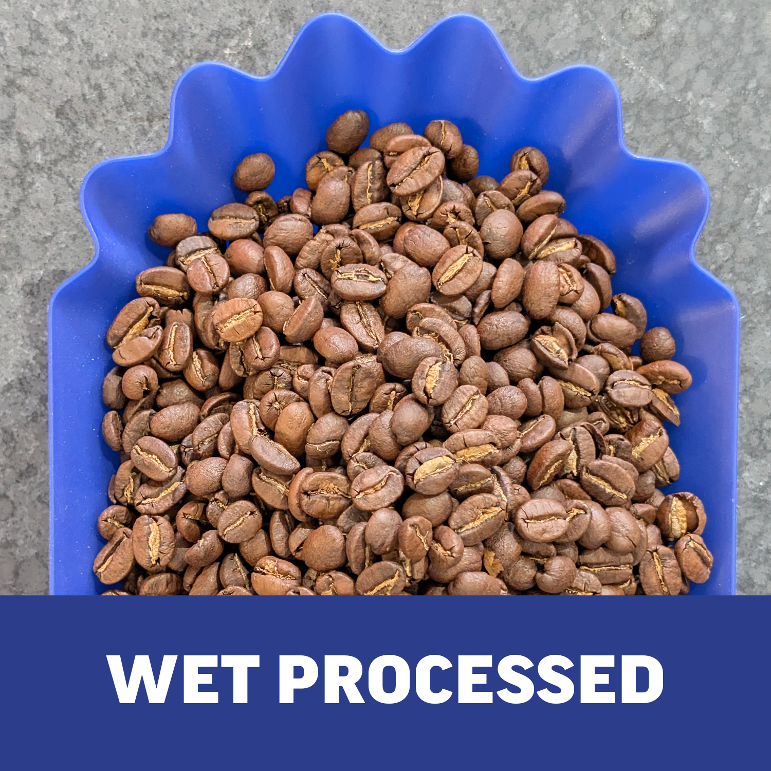 Single-Origin Reserve Series - Rwanda Kungahara, Wet Processed - PLACEHOLDER