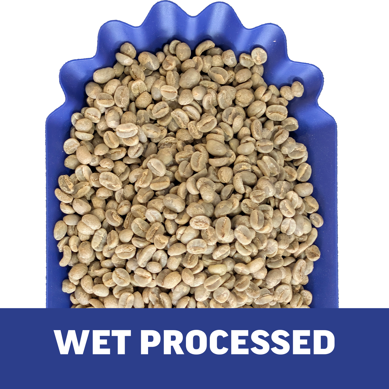 Single-Origin Reserve Series - Rwanda Kungahara - 3 Pack of 1 lbs - Wet, Natural, Carbonic Maceration Process