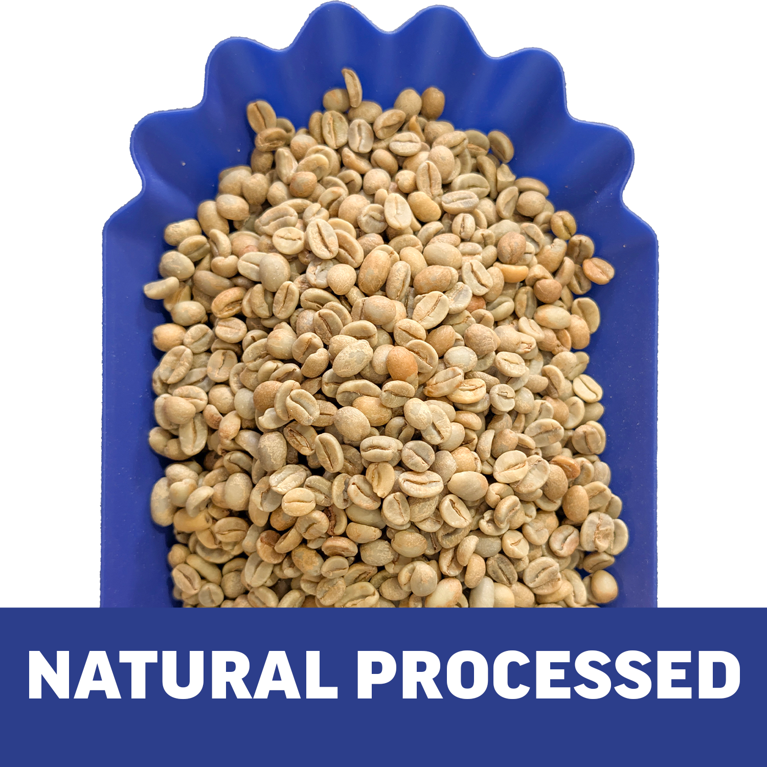 Single-Origin Reserve Series - Rwanda Kungahara - 3 Pack of 1 lbs - Wet, Natural, Carbonic Maceration Process