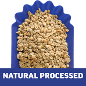 Single-Origin Reserve Series - Rwanda Kungahara - 3 Pack of 1 lbs - Wet, Natural, Carbonic Maceration Process