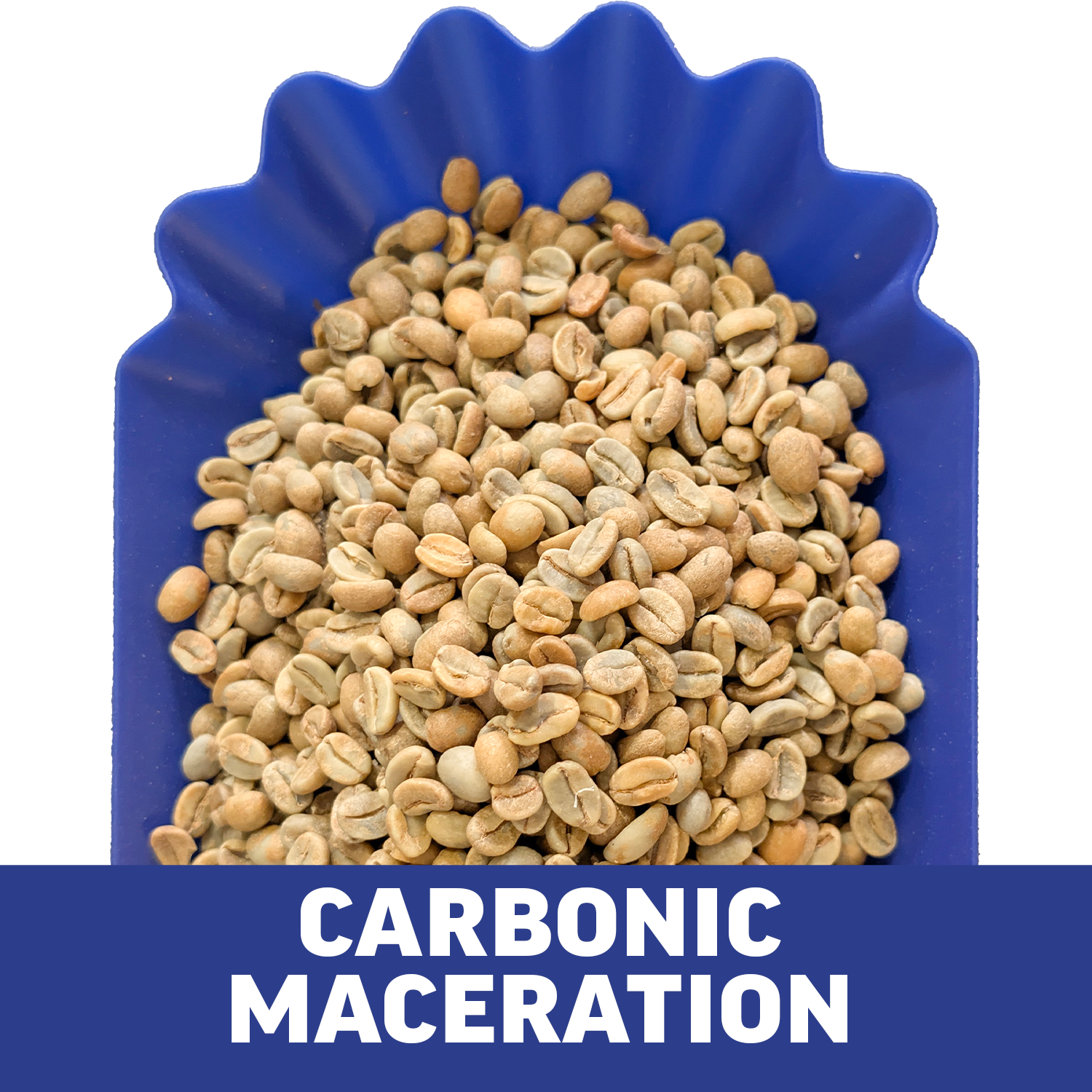 Single-Origin Reserve Series - Rwanda Kungahara - 3 Pack of 1 lbs - Wet, Natural, Carbonic Maceration Process