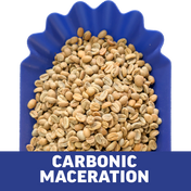 Single-Origin Reserve Series - Rwanda Kungahara - 3 Pack of 1 lbs - Wet, Natural, Carbonic Maceration Process