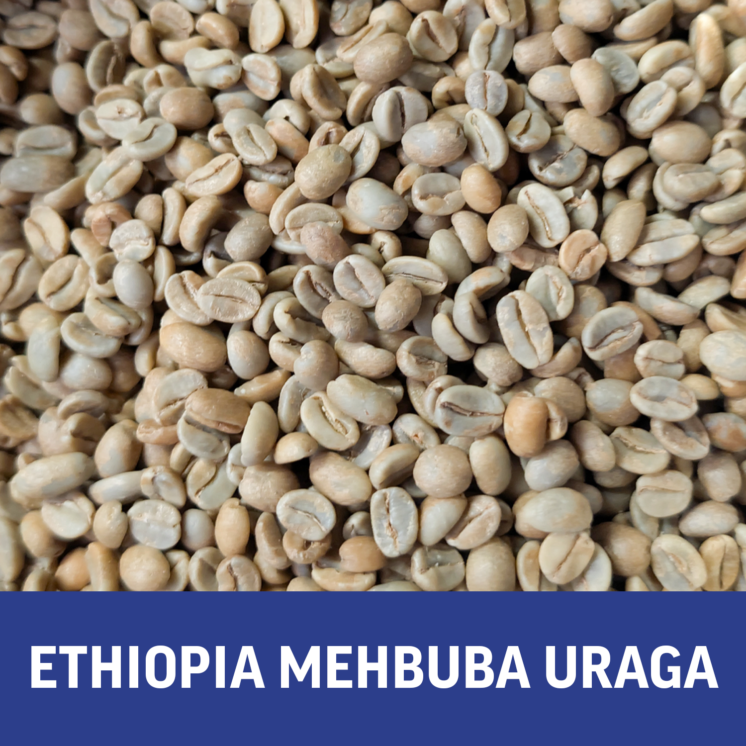 Regional Series - Ethiopia Mehbuba Uraga, Natural Processed - PLACEHOLDER