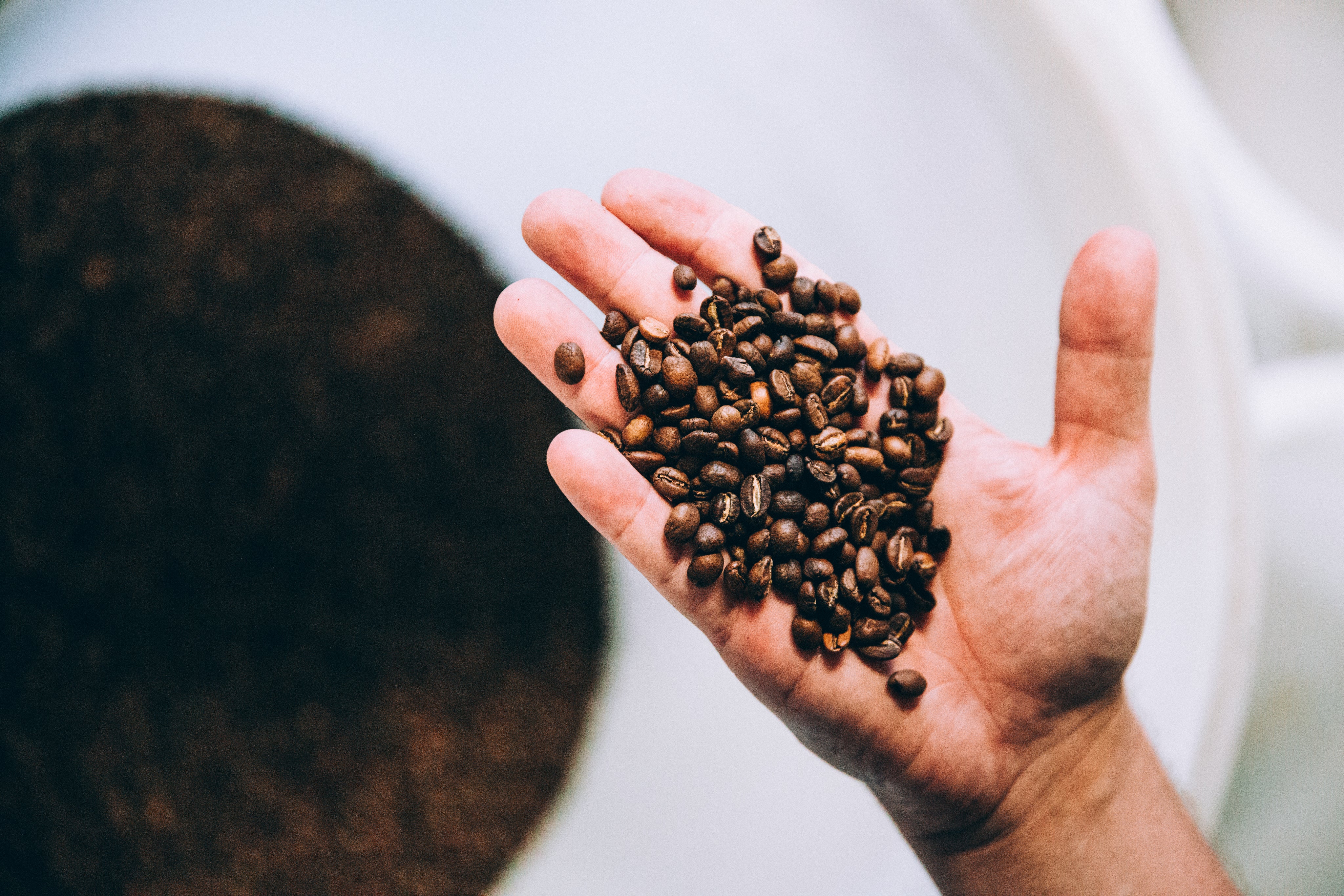 hand-full-of-roasted-coffee.jpg